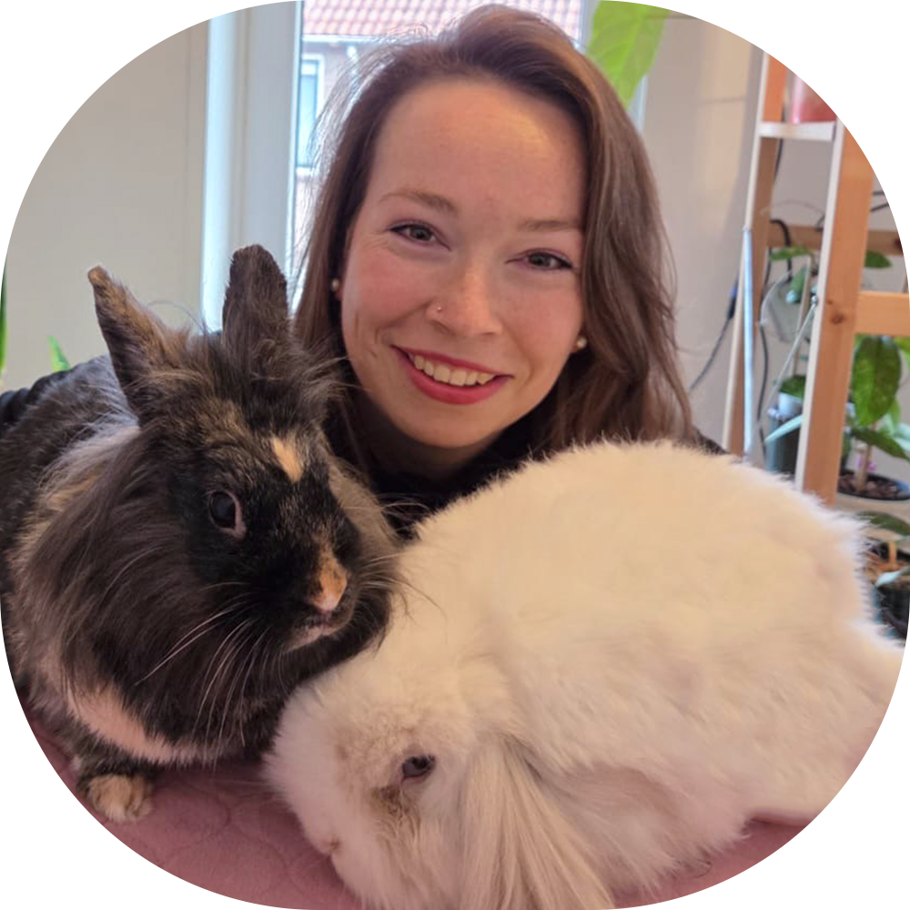 knip knappe konijntjes Amber konijnen Kimora James